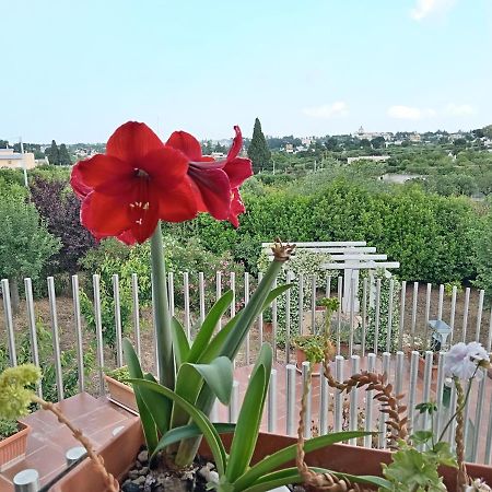Casa Mastronardi Bed and Breakfast Castellana Grotte Exteriör bild