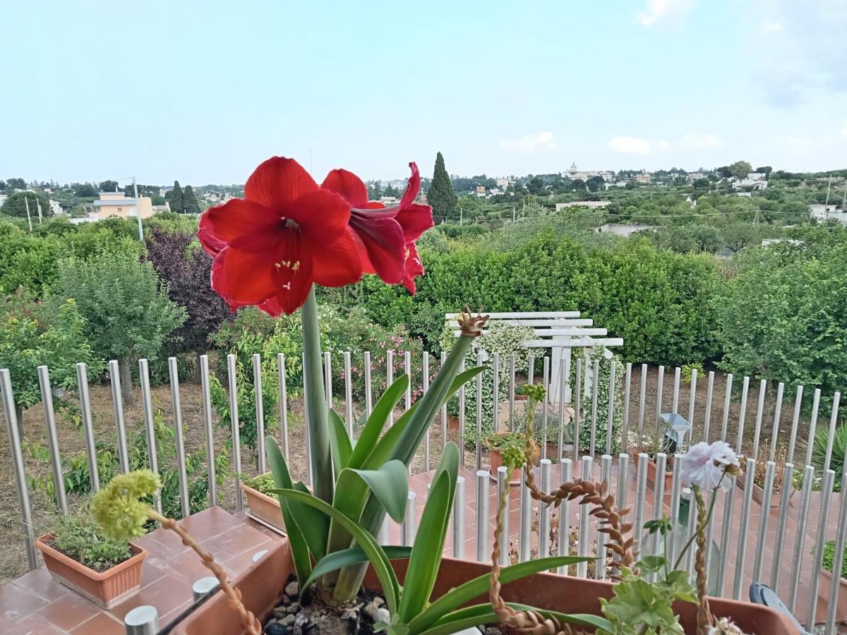 Casa Mastronardi Bed and Breakfast Castellana Grotte Exteriör bild